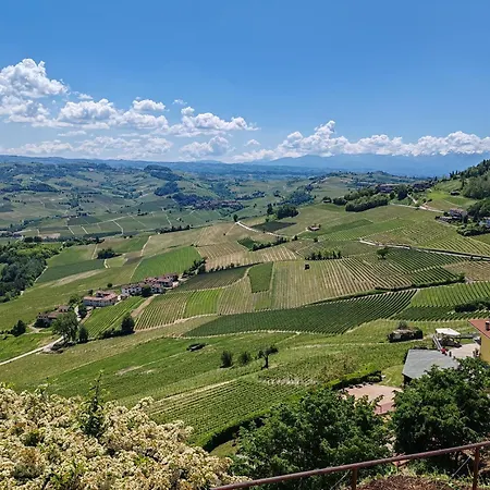 Tour In Langhe
