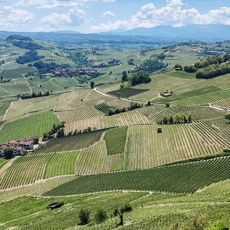 Tour In Langhe La Morra