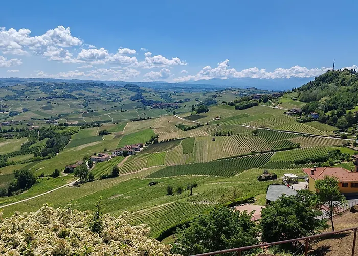 Tour In Langhe