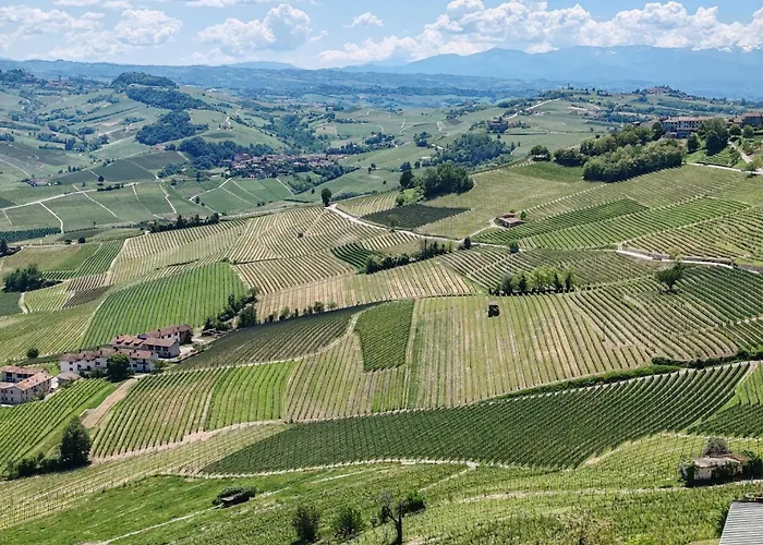 Tour In Langhe ラ・モッラ